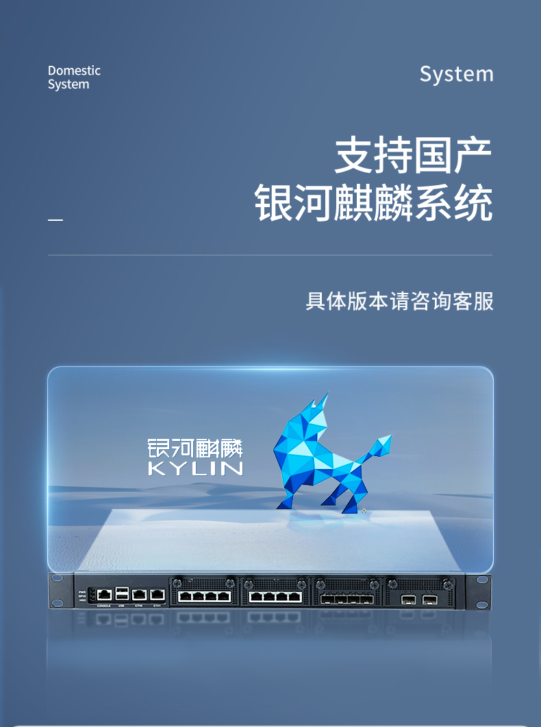 飛騰國(guó)產(chǎn)化海南工控機(jī),國(guó)產(chǎn)化系統(tǒng),DT-12420-SD2000.jpg